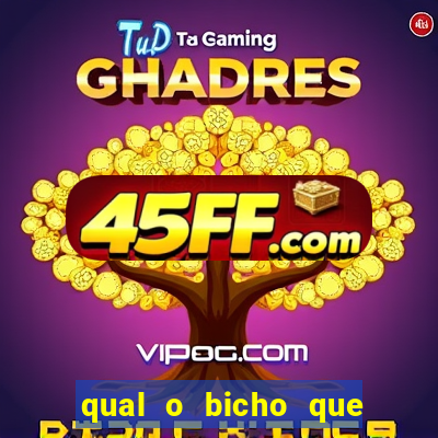 qual o bicho que vai dar hoje